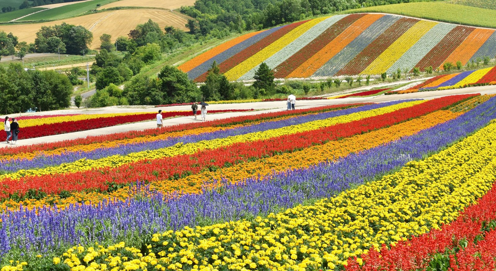 Hokkaido
