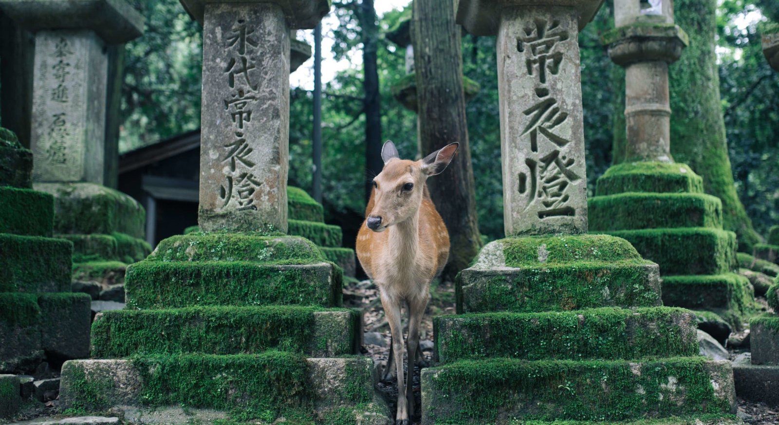 Nara